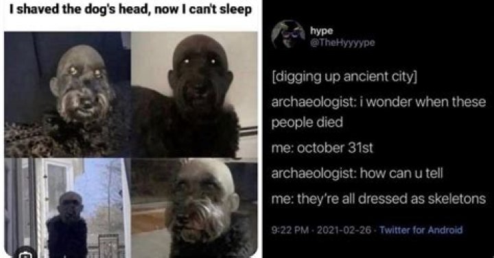 Pics and Memes For Dark And Twisted Minds Funny Gallery eBaum's World