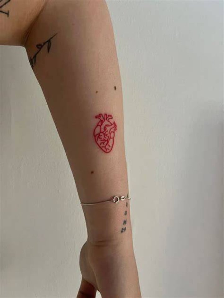 Pin by on Tattoo Ideas in 2020 Bear tattoo designs