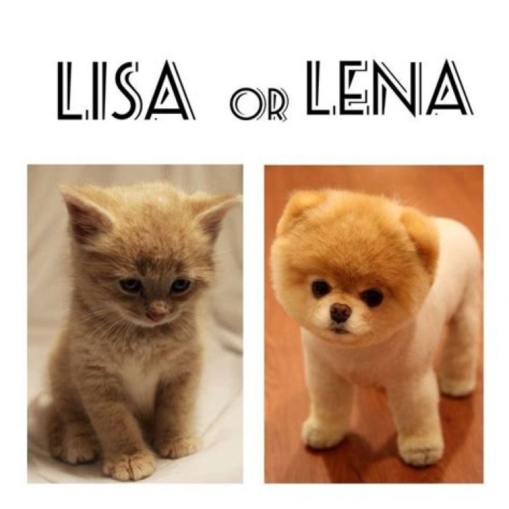 Pin on Lisa or lena