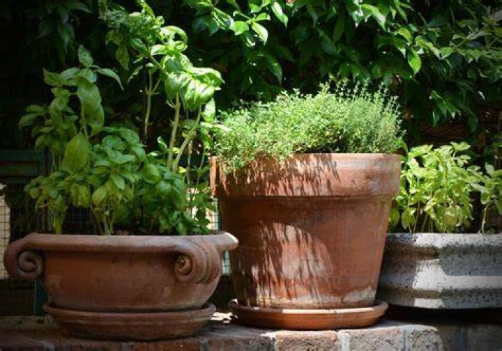 Planting Pots with Kate Durr Pots and Planters Holloways