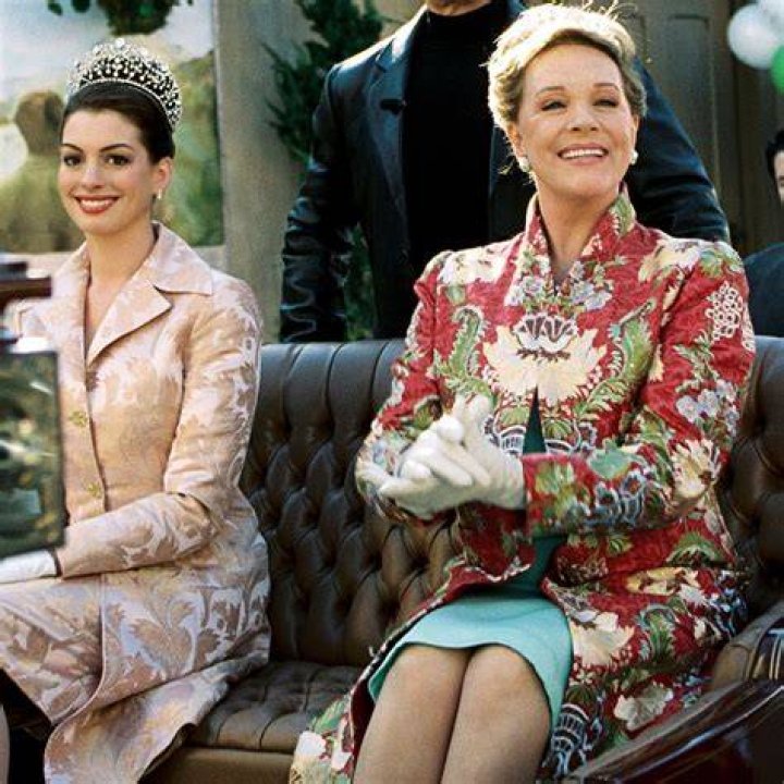 Princess Diaries Cast Where Are They Now?