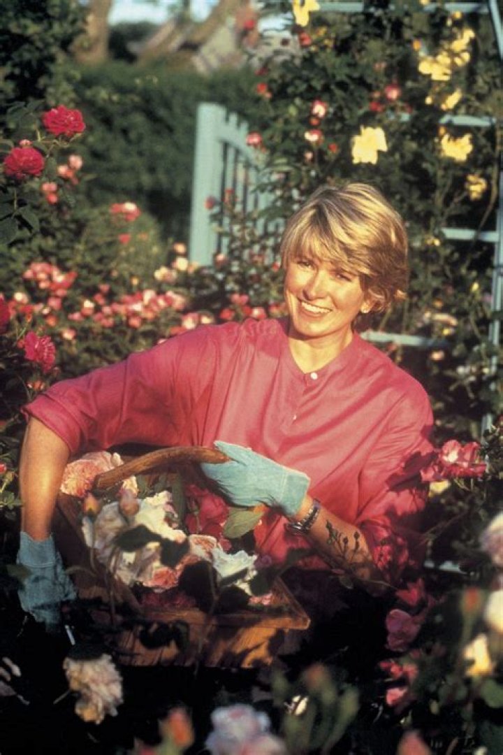 "Summer House Martha's Vineyard" Episode 2.1 (TV Episode) IMDb