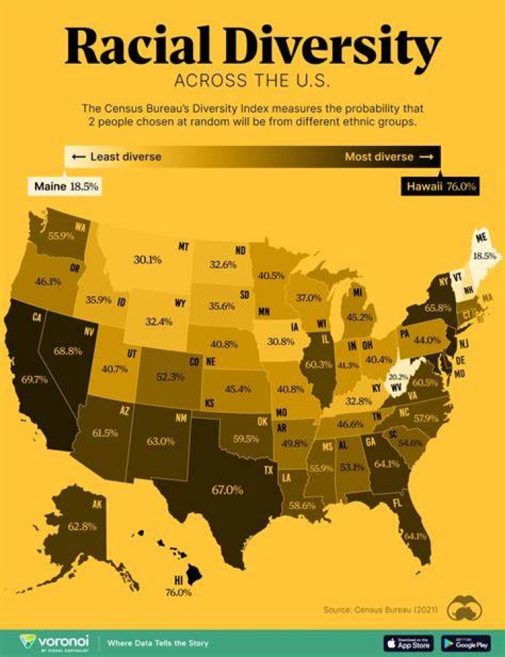 Race, Diversity, and Ethnicity in Valdosta, GA