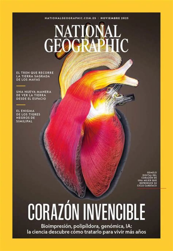REVISTA C&Oacute;DIGO / PORTADA on Behance