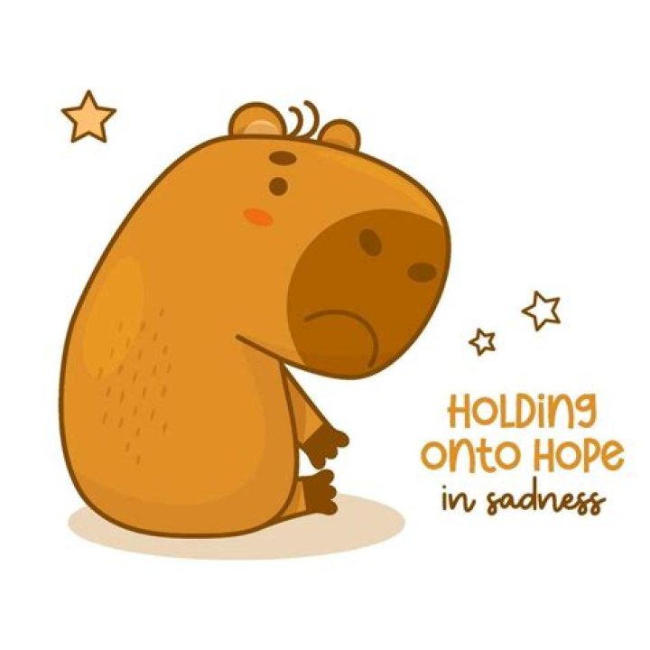Sad capybara baby by LilyanLily on DeviantArt