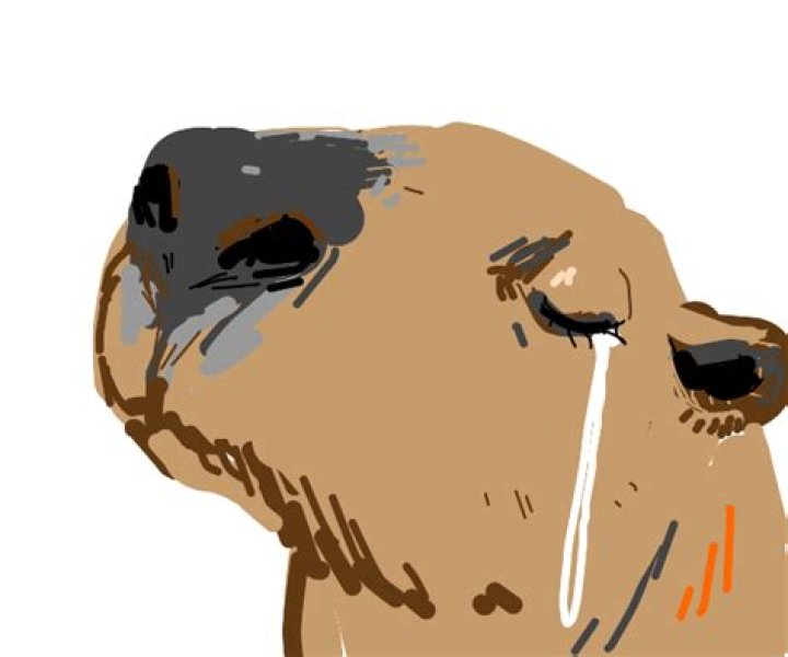 Sad Capybara Drawception