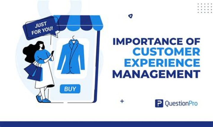 Sarah Abdo Customer Experience Manager Userpilot LinkedIn