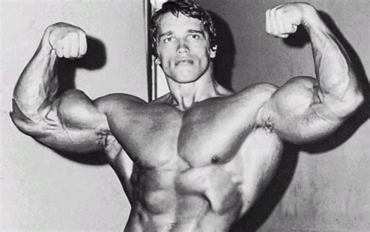 Schwarzenegger's mistress breaks silence