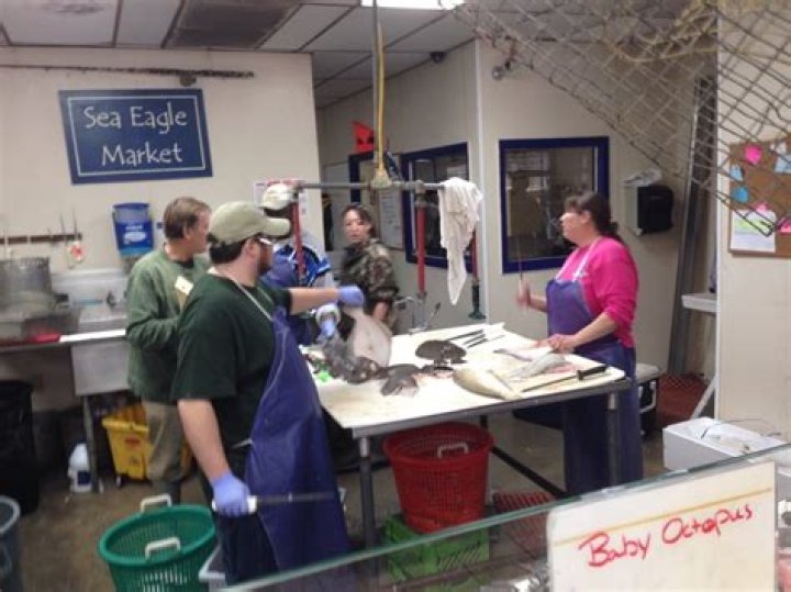 Sea Eagle Market And Good Eats Restaurant Beaufort Beaufort