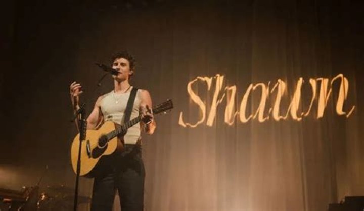 Shawn Mendes Opened Up About How He Journals Teen Vogue