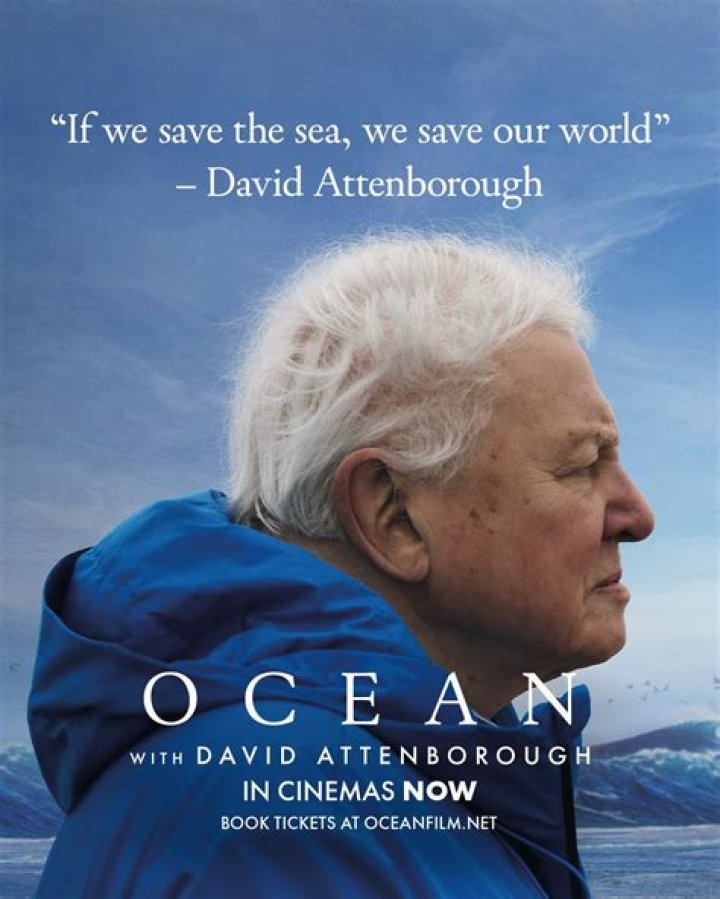 Sir David Attenborough A national treasure BBC Wildlife Discover