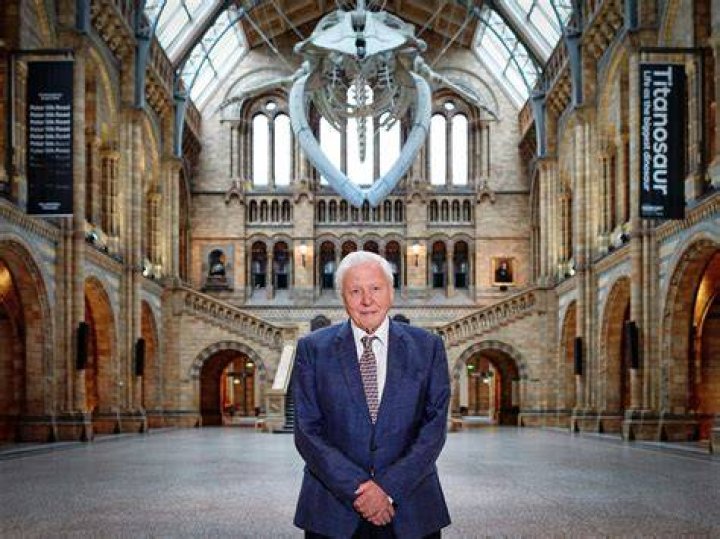 Sir David Attenborough to present new natural history series for BBC