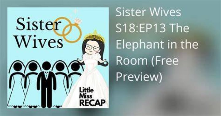 Sister Wives S18 EP13 The Elephant in the Room Full Episode recap