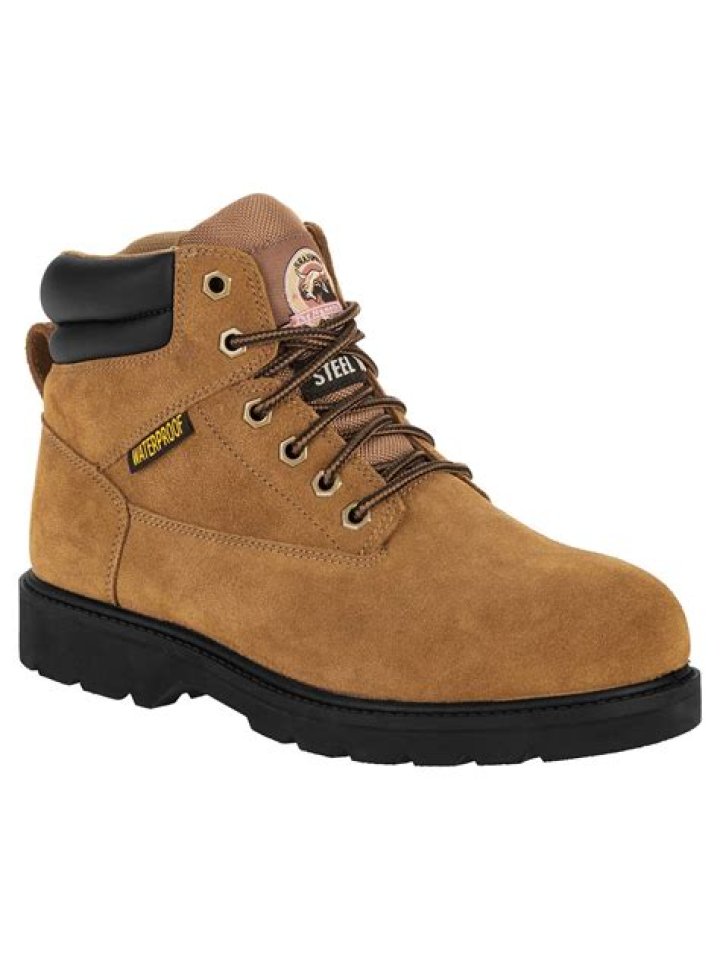 Size 7 IPA Steel Toe Brewing Beer of the Day