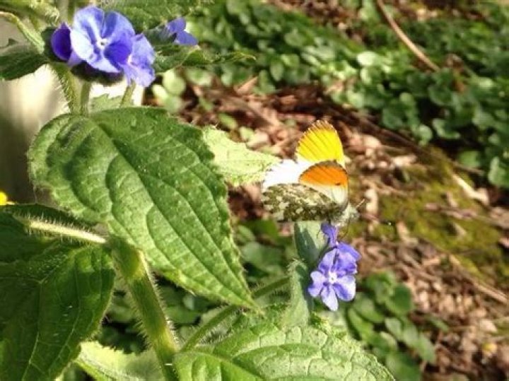 Summer starts early as sunshine hits Surrey Surrey Live