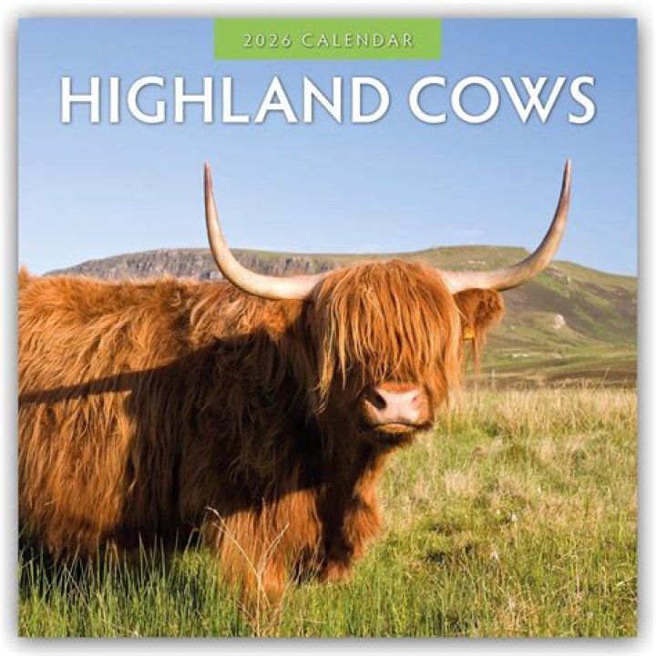 Susan Venables, Author at Highland Marketing