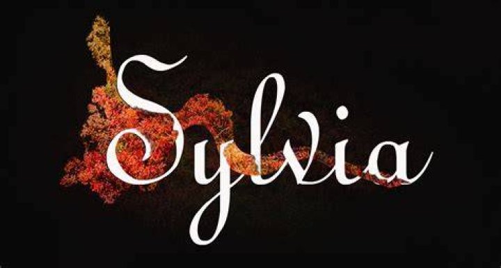 Sylvia's Aquarium