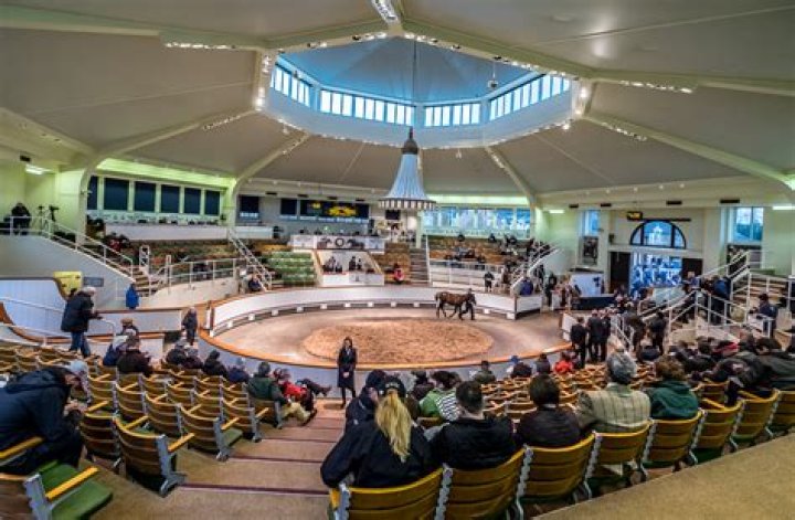 Tattersalls Newmarket