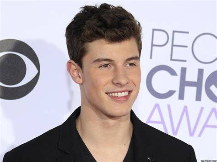 That Fake Tweet About Shawn Mendes Coming Out as Gay Is Homophobia at