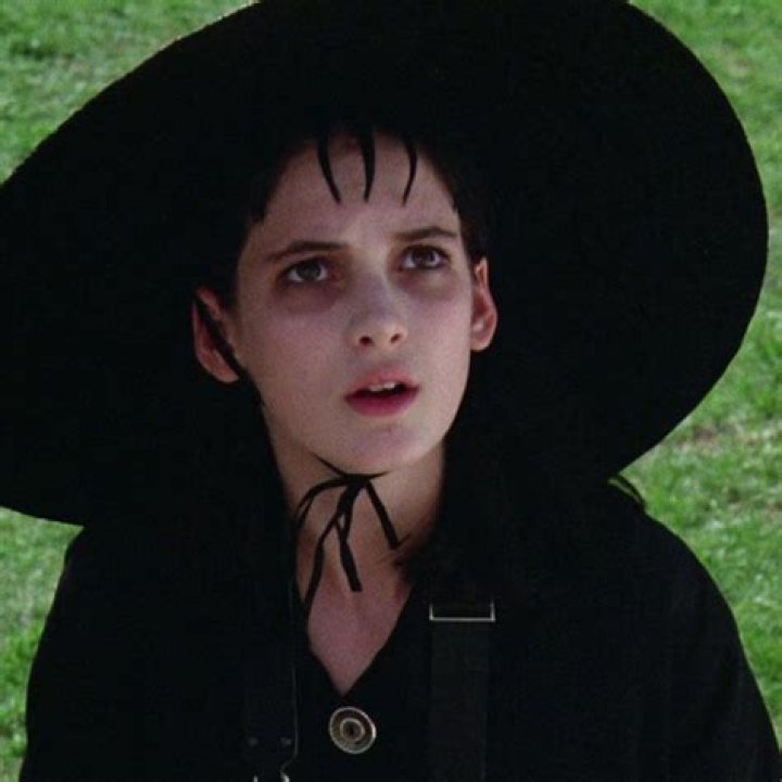 The Beetlejuice Cast Where Are They Now?