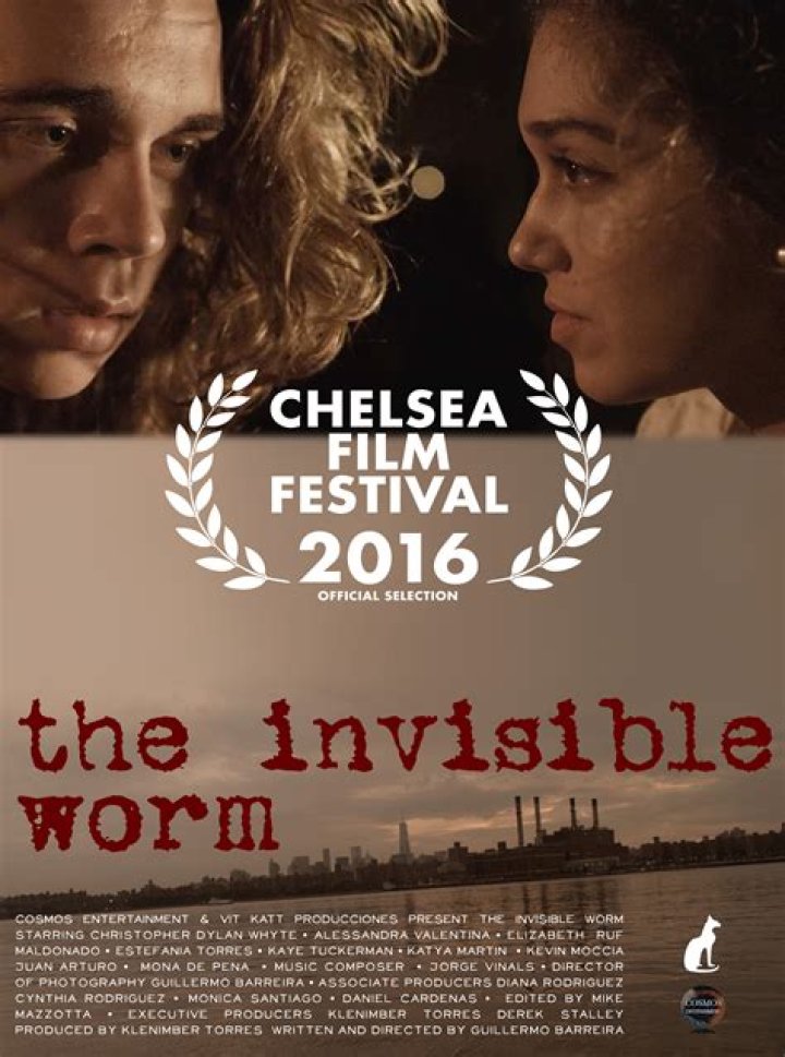 The Invisible Worm (2017)