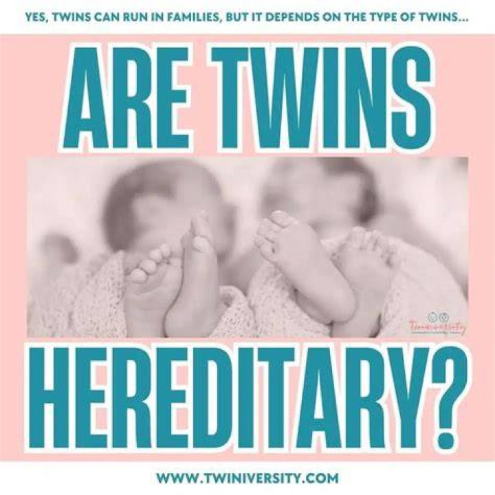 The Ivory Twins report Friday&rsquo;s weather forecast WGNTV