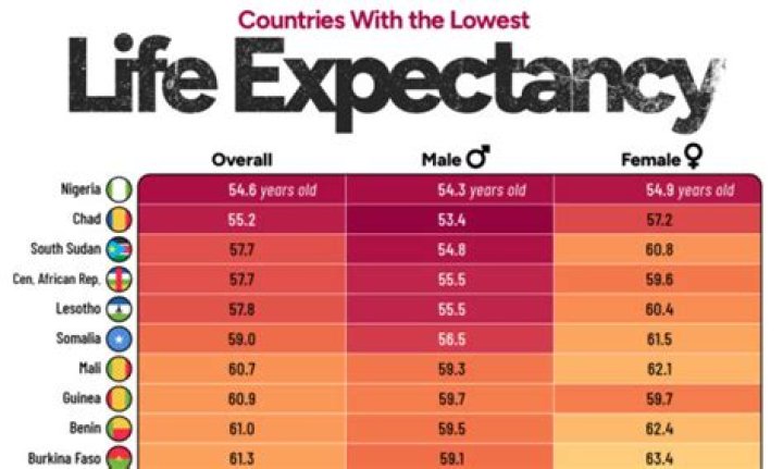 The Longest Life Expectancy Average Life Of A Sausage Dog