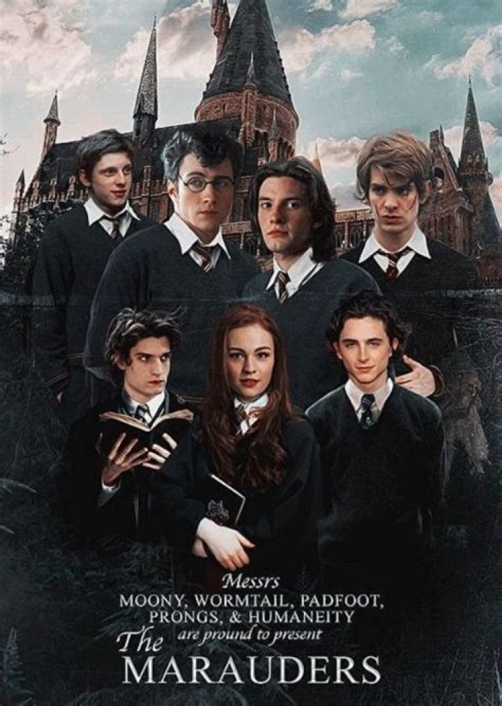 The Marauders Era (Fanmade) Historia