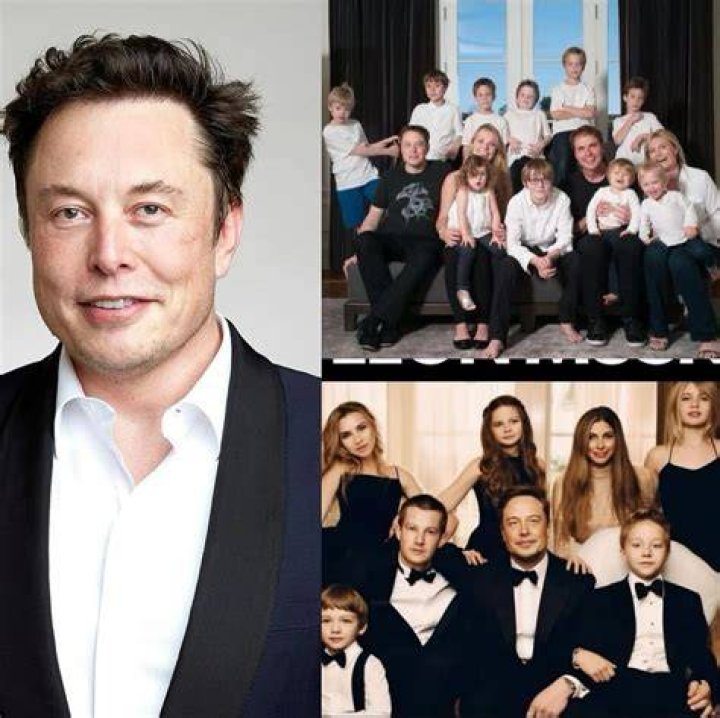 The Musk Family Dynamics Sound a Lot Like You&rsquo;ve Got Mail Vanity Fair
