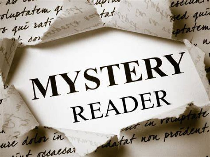 The Mystery Reader's Survival Guide The Lovable Rogue Mysteries