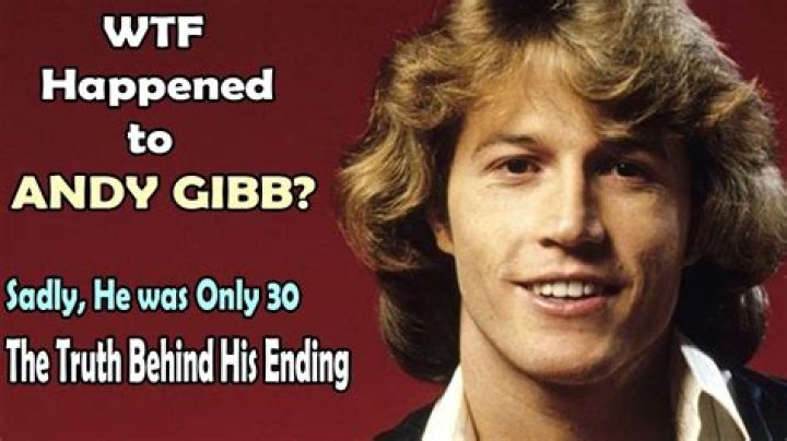 The Tragic Story Of Andy Gibb's Daughter Poor Baby Bee Gee YouTube