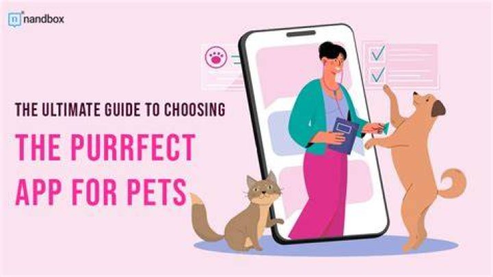 The Ultimate Guide To Choosing Your Purrfect Companion