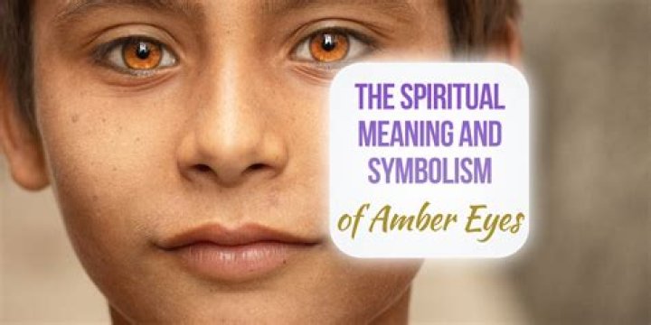 The Very Best 30 Amber Eyes Facts 2024