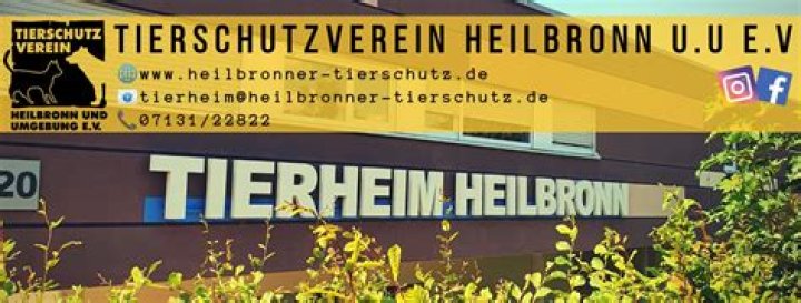 Tierschutzverein Heilbronn und Umgebung e.V. Mia