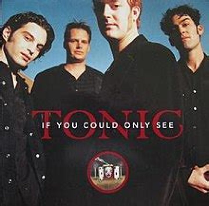 Tonic If You Could Only See (英文版)