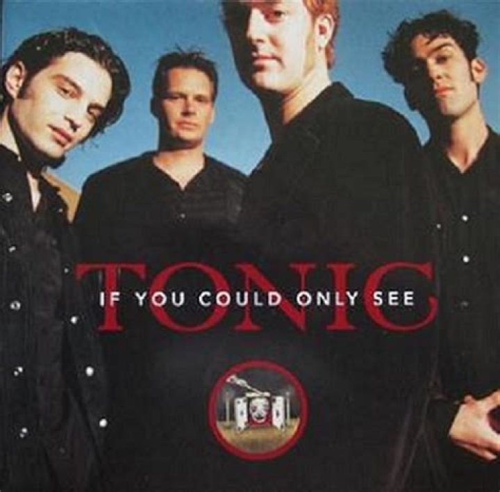 Tonic &rdquo;If You Could Only See&rdquo; Lyrics Meaning MelodyInsight