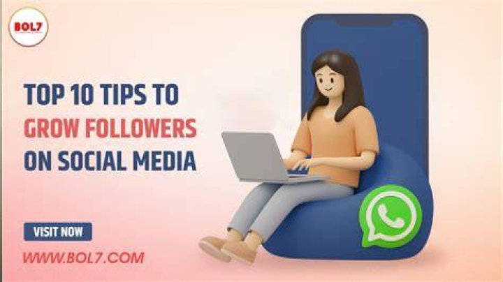 Top 10 Tips To Grow Your Day Tour Nourchaine