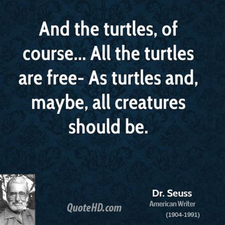 Turtle Man Quotes. QuotesGram