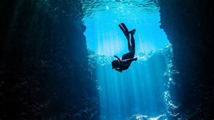 Uncover Ariana Guerra's Story: A Wikipedia Deep Dive