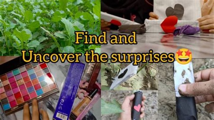 Uncover Hidden Truths And Surprises!