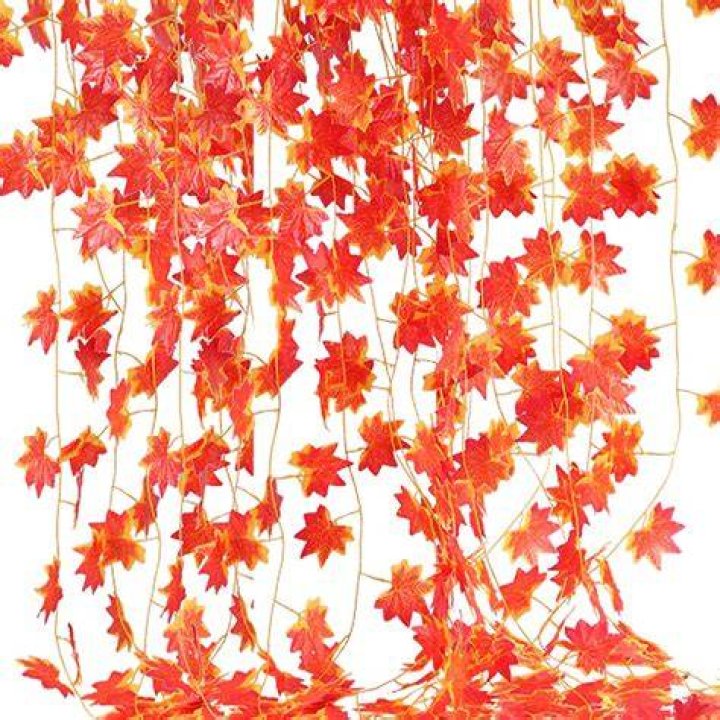 Uncover The Enchanting Allure Of Black Maple Leaf Garlands: Discoveries And Insights