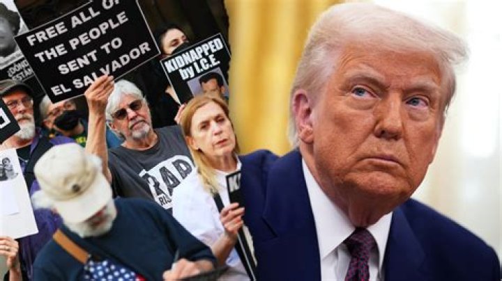 Uncovering The Activist And Politician