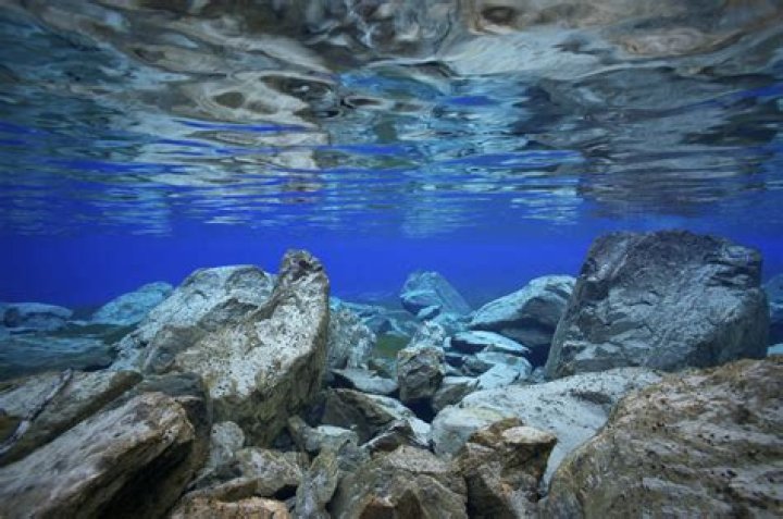 Uncovering The Hidden Wonders Of The Underwater Realm