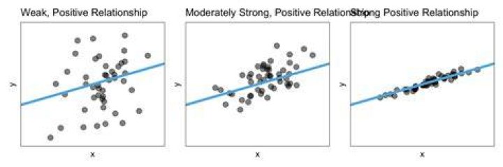 Uncovering The Secrets Of A Strong And Enduring Relationship