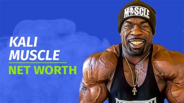 Unleash Your Muscle Net Worth: Discoveries And Insights