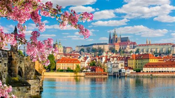 Unlock Hidden Gems And Enrich Your Travels With Celisse Tours