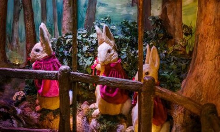 Unlock The Enchanting World Of Patra Singers: Discoveries And Insights