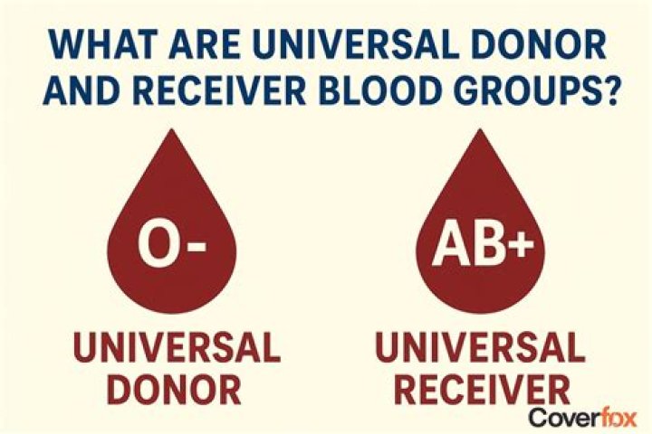 Unraveling The Secrets: Universal Donor Type Crossword