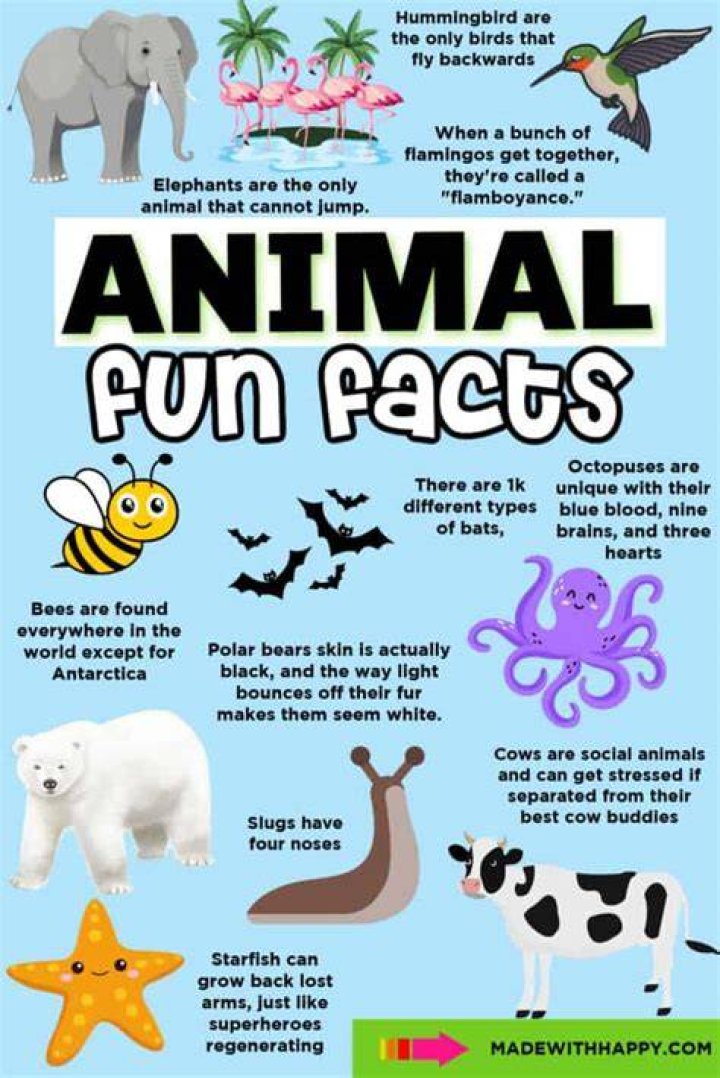 Unseen Photos And Surprising Facts