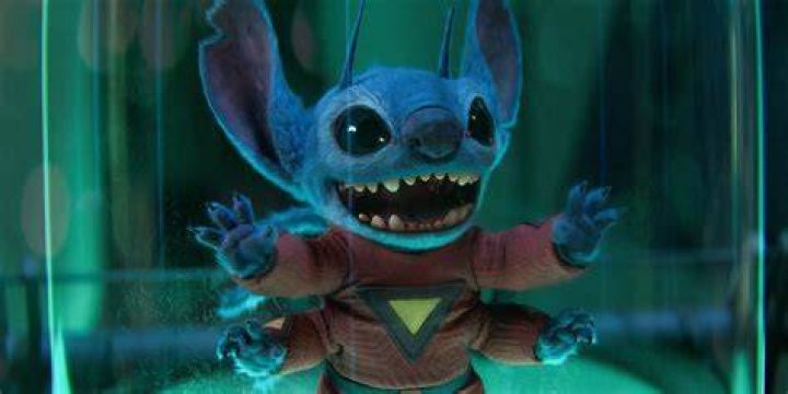 Unveiling Live Action Stitch Images: Discoveries And Insights